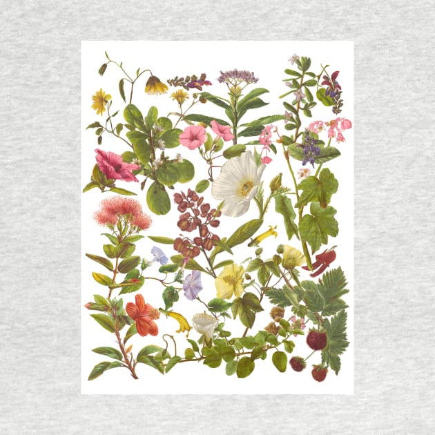 Native Hawaiian Flowers Botanical Design by peachycrossing